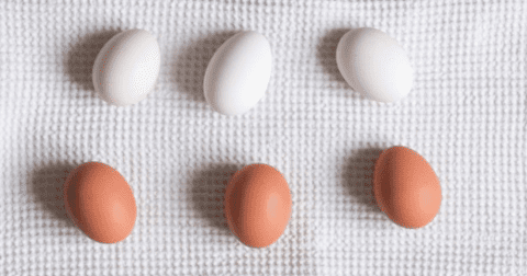 SOL YAMIL CLASES DE CANTO ONLINE